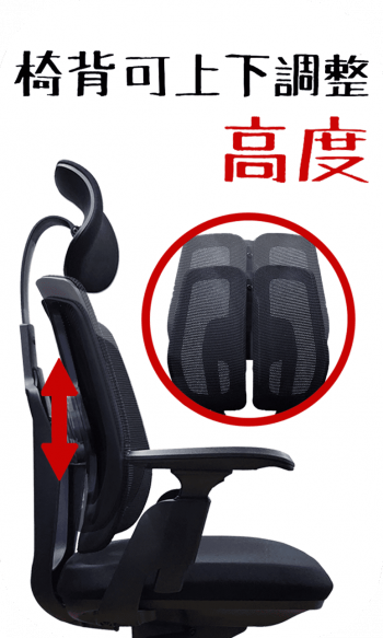 雙背椅 DB820