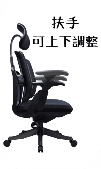 雙背椅 DB820