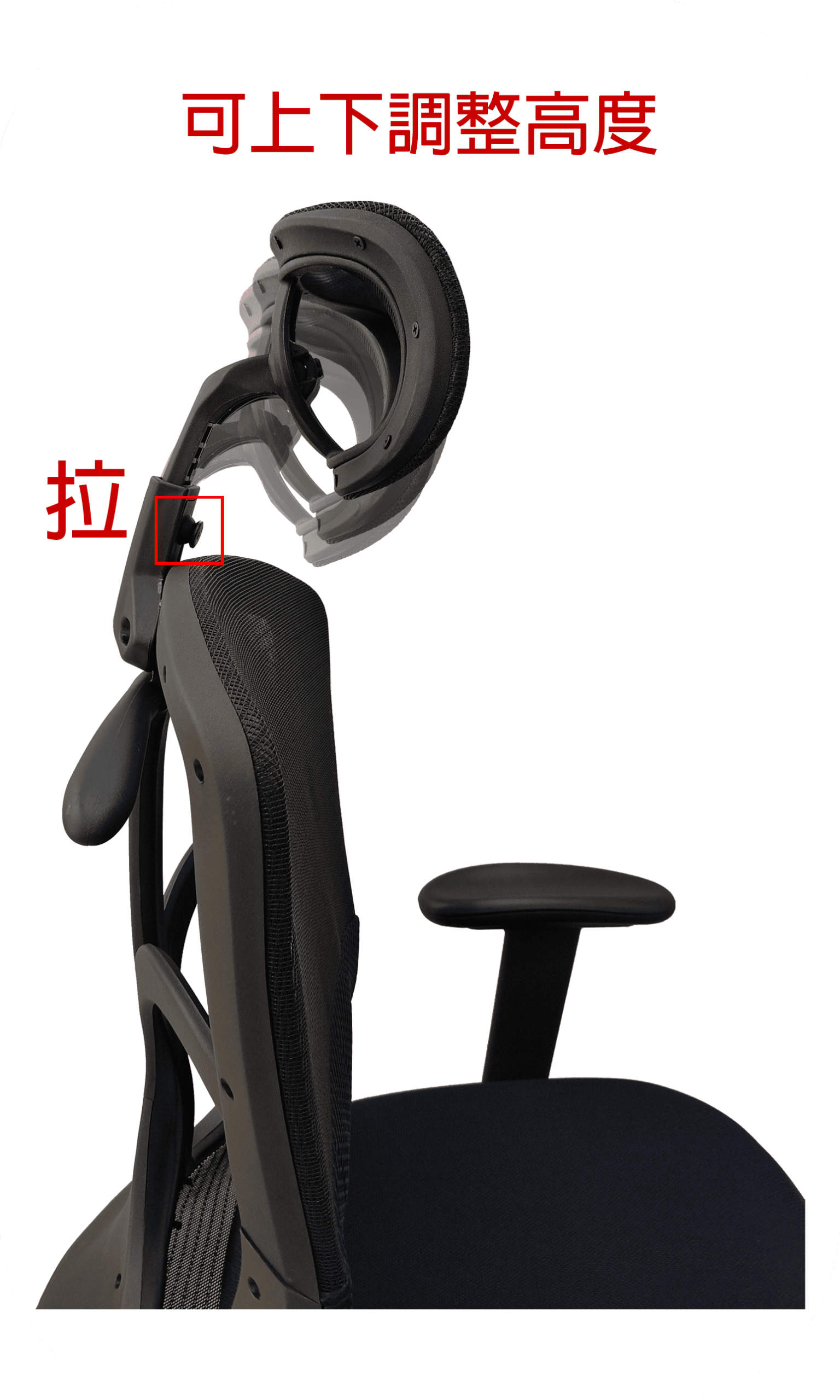 人體氣墊腰靠 8006