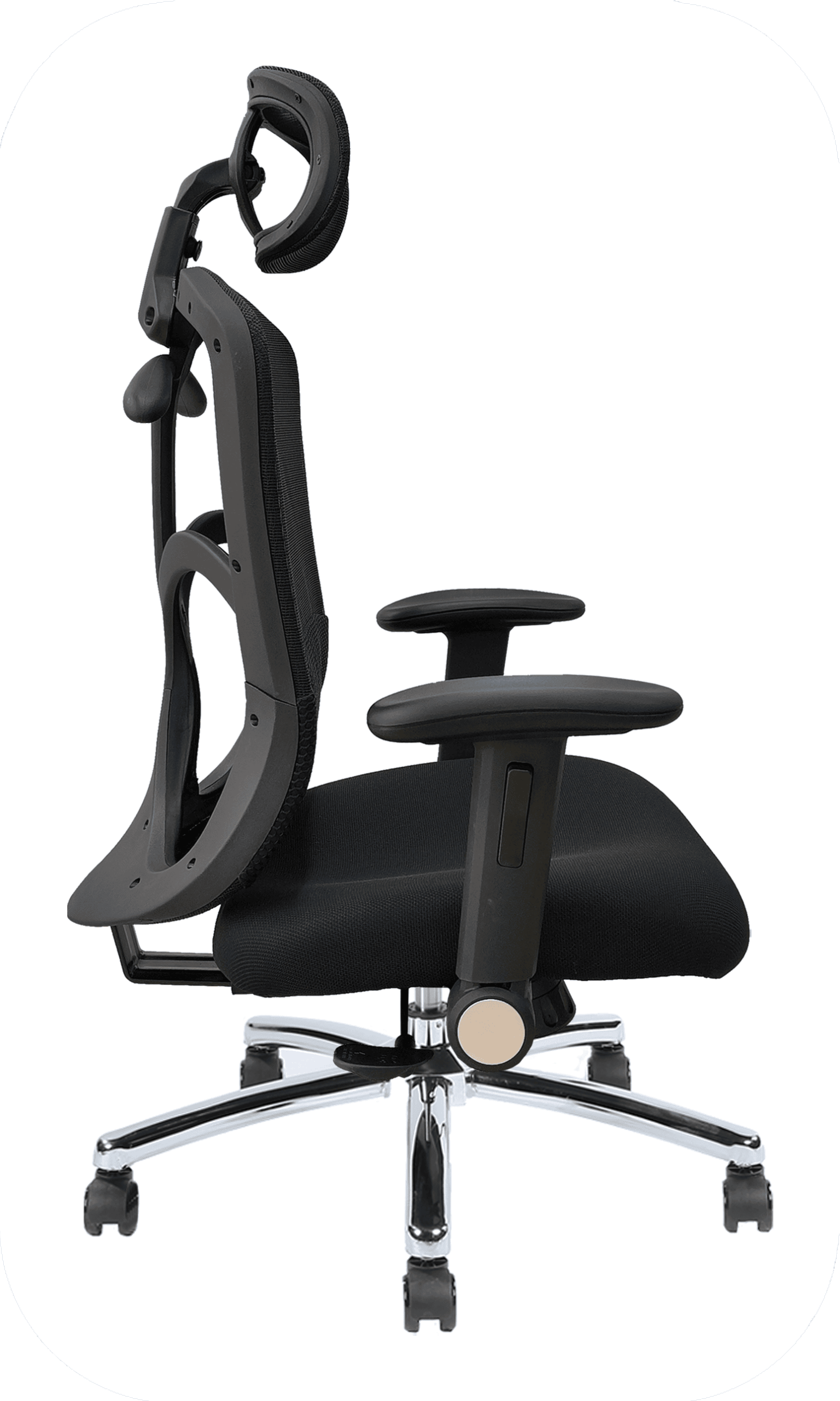 人體氣墊腰靠 8006