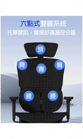 特級人體工學椅 905