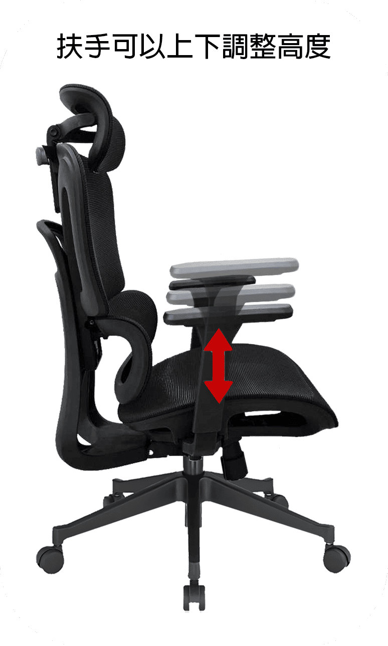特級人體工學椅 9005