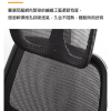 特級人體工學全網椅 7011