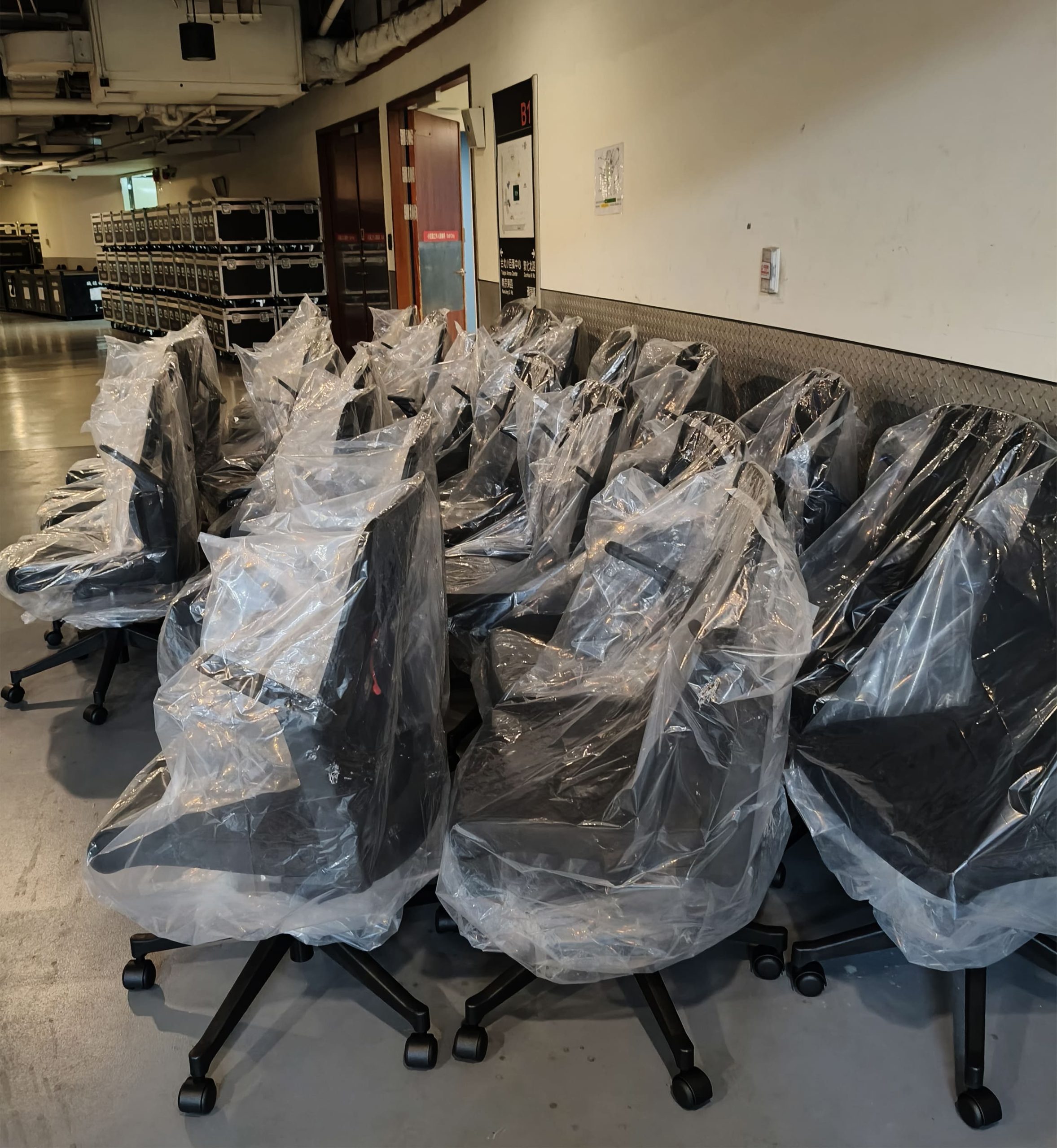 上百張招財貓 819 進駐遊憩公司！